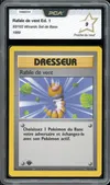 PCA 9 Rafale de Vent thumbnail 1