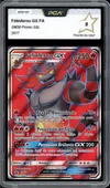 PCA 9 Félinferno Gx thumbnail 1