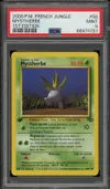 PSA 9 Mystherbe thumbnail 1