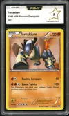 PCA 9 Terrakium Holo thumbnail 1