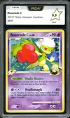 PCA 9.5 Roserade thumbnail 1