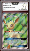 PCA 8 Phyllali Gx thumbnail 1