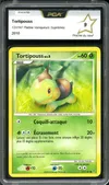 PCA 9 Tortipouss thumbnail 1