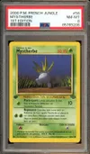 PSA 8 Mystherbe thumbnail 1