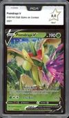 PCA 9.5 Pomdrapi V thumbnail 1