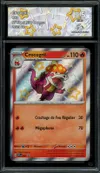 CA 9,5 Crocogril thumbnail 1