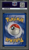 PSA 10 Héricendre thumbnail 2