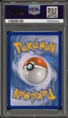 PSA 8 Groudon Ex thumbnail 2