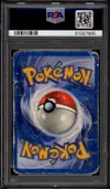 PSA 1 Togetic thumbnail 2