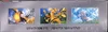Display SV4a Shiny Treasure Ex thumbnail 4