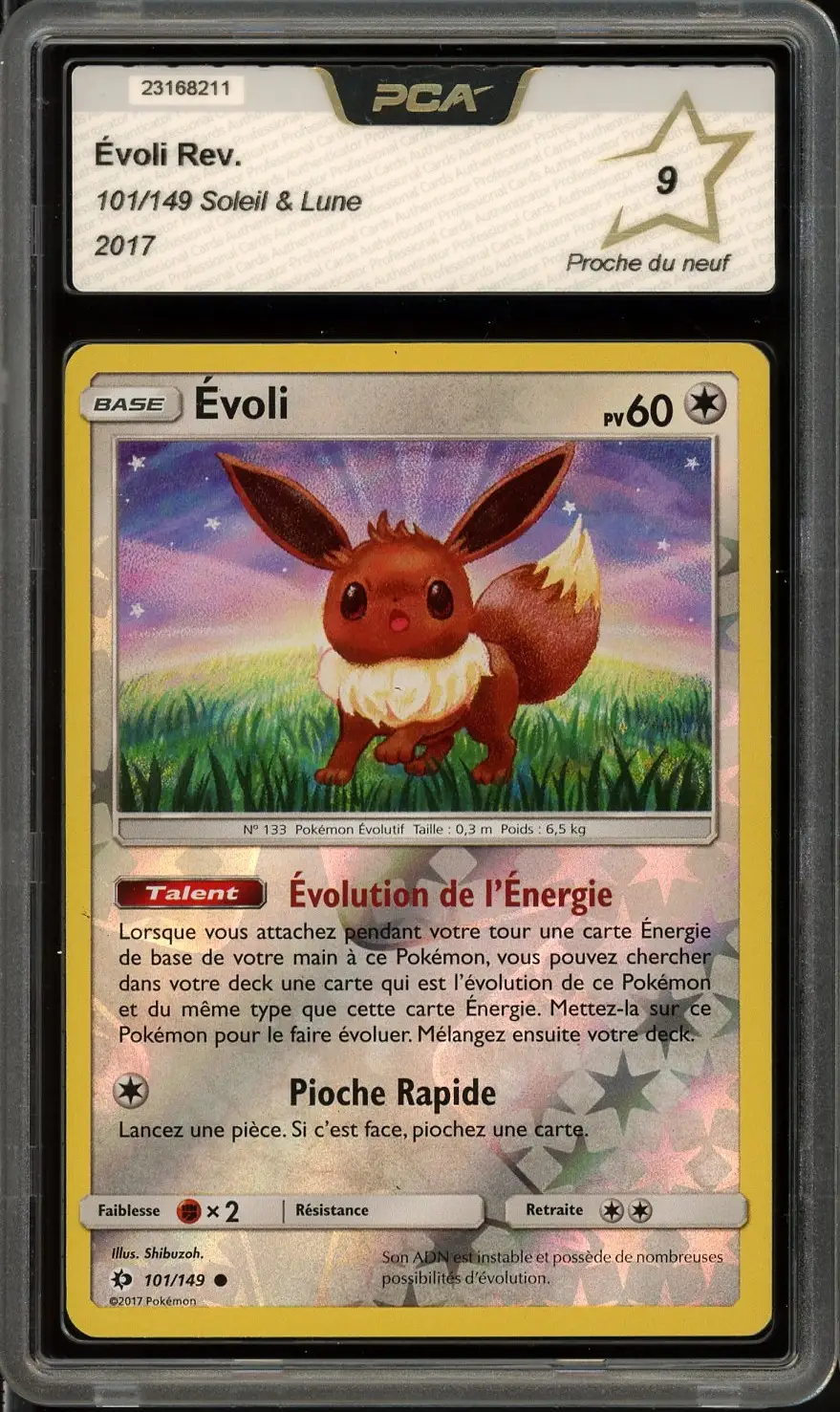 PCA 9 Evoli Reverse