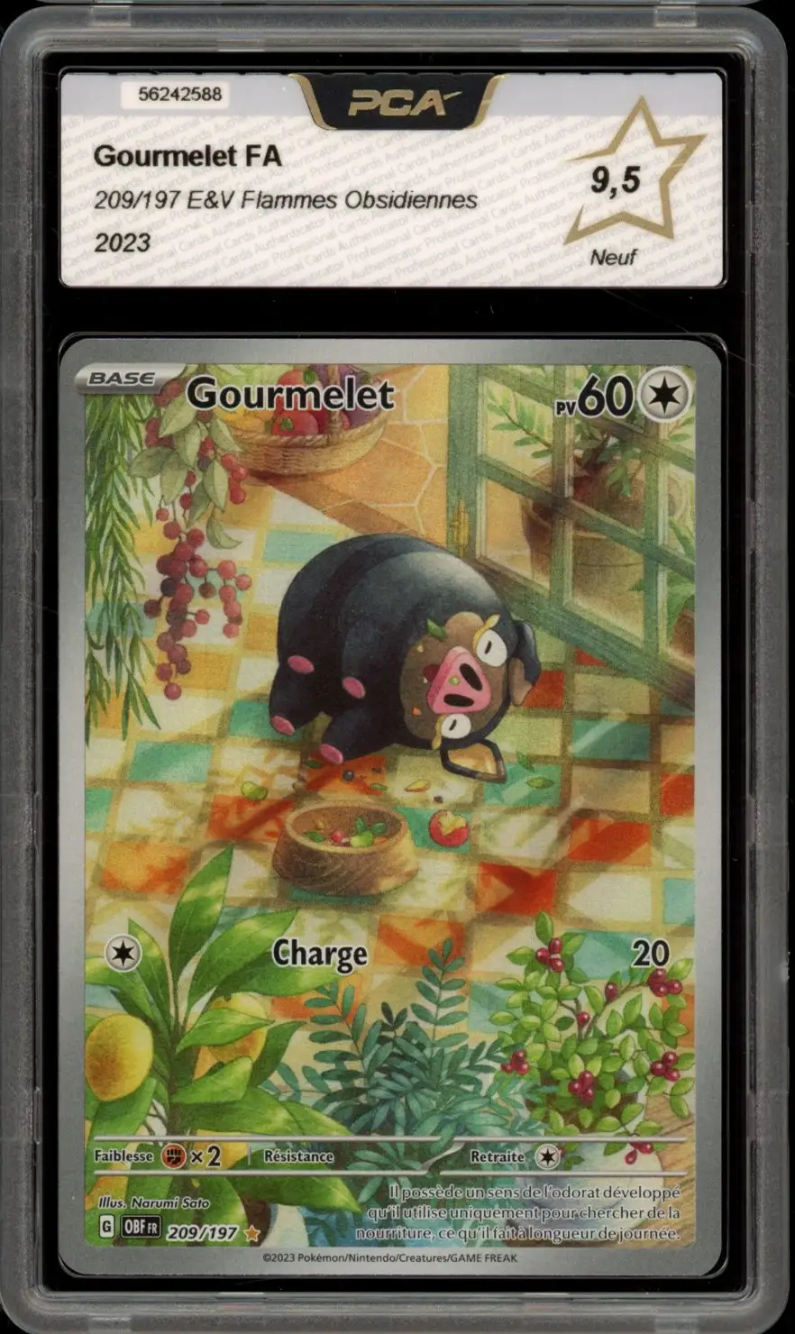 PCA 9.5 Gourmelet