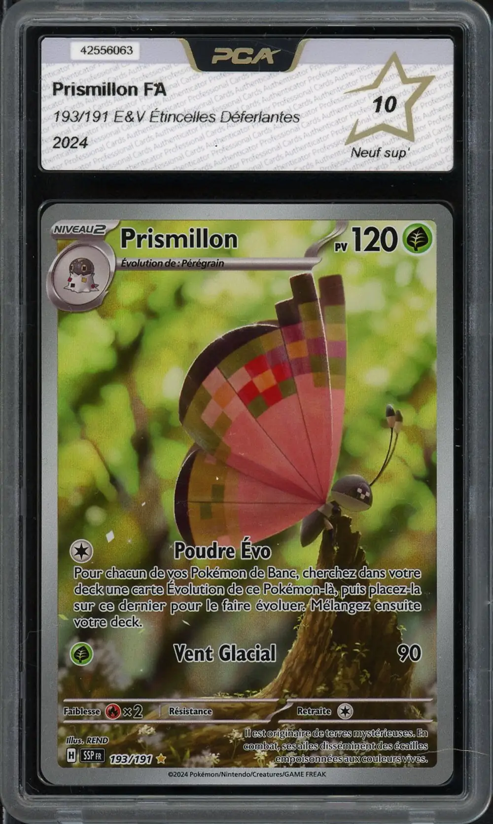 PCA 10 Prismillon