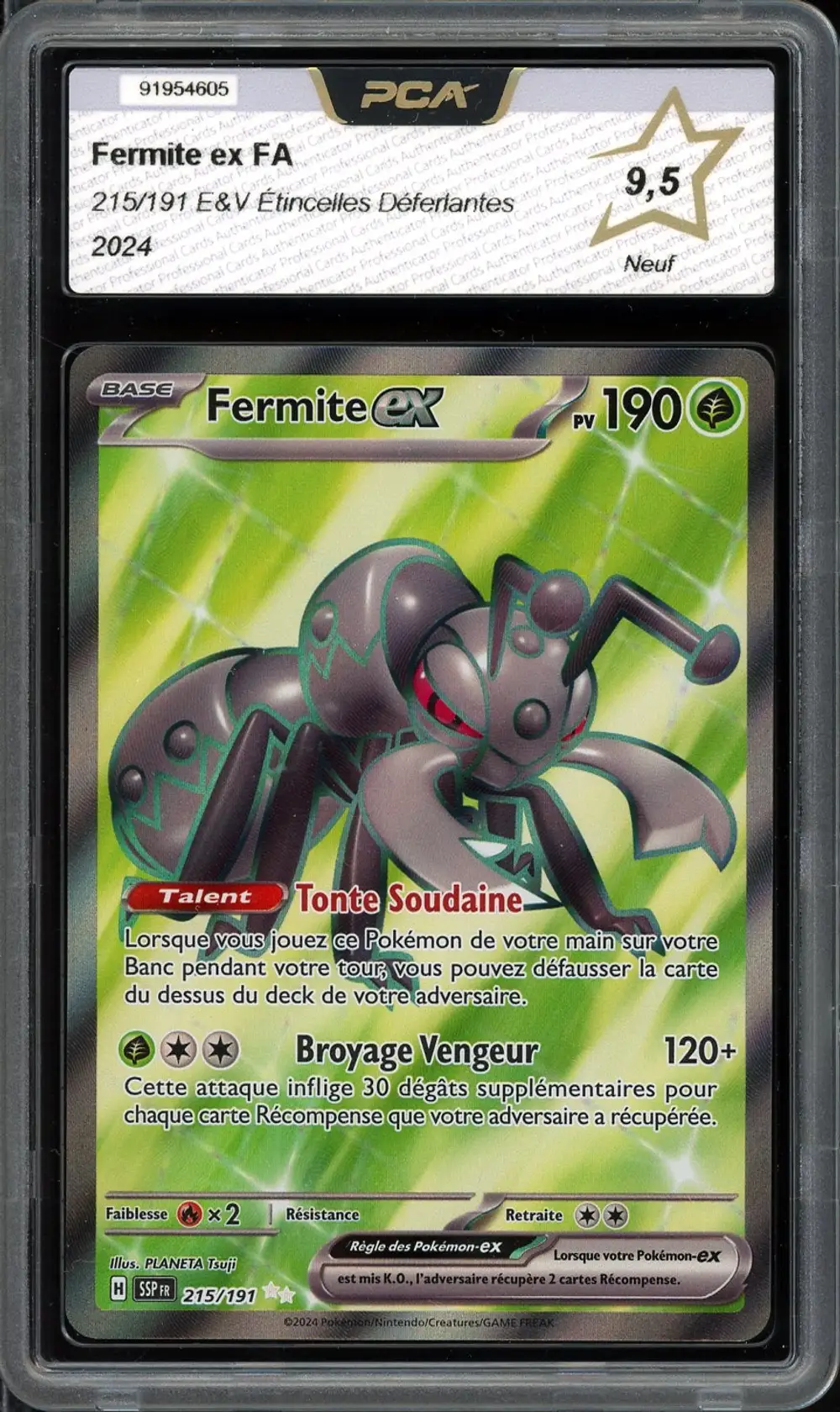 PCA 9.5 Fermite Ex