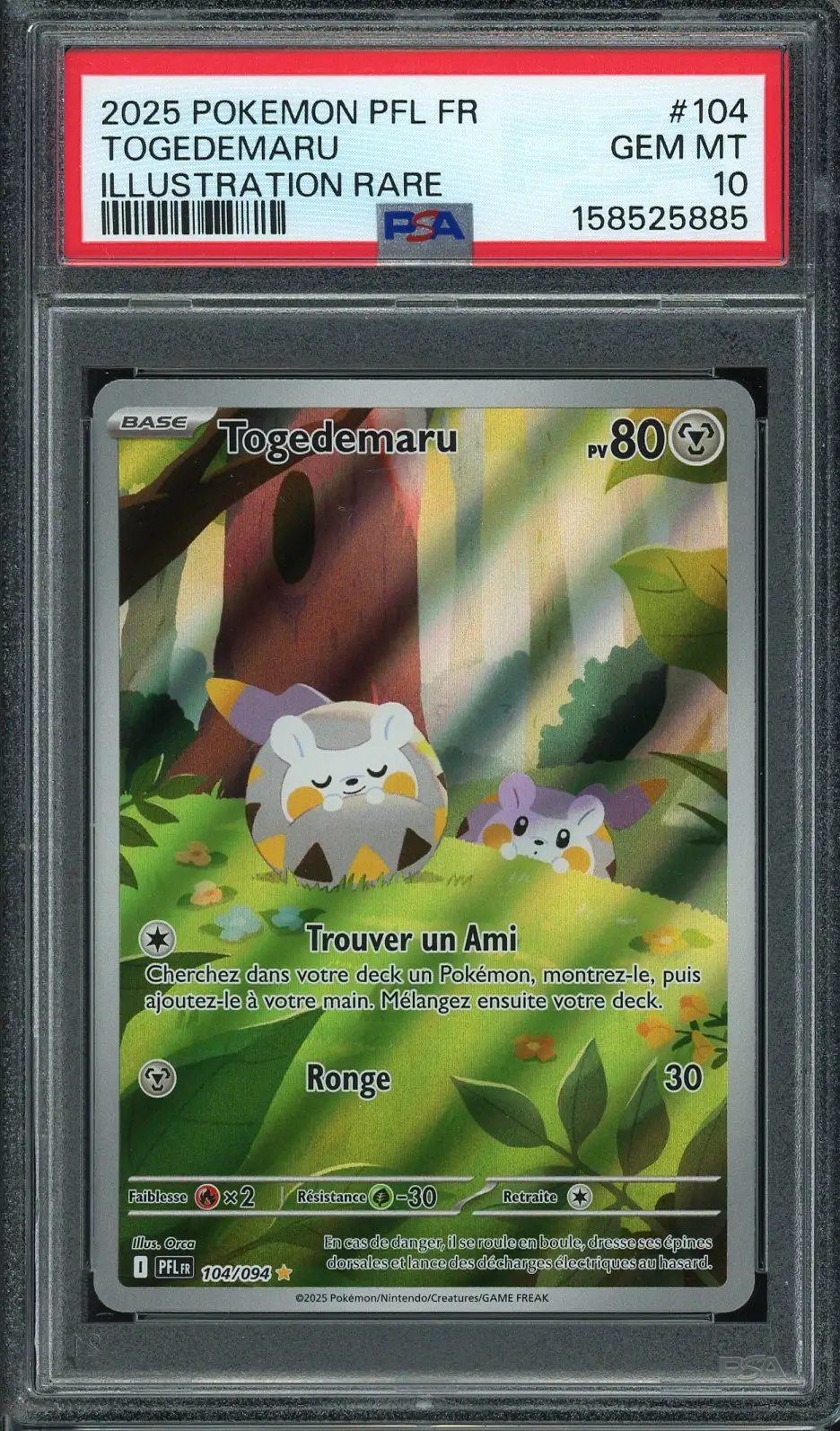 【グリザイア】救護の虎 タイガ psa10 グリザイア】救護の虎 タイガ psa10 トレーディングカード