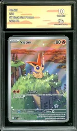 Auction visual on GCC