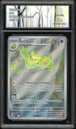 Auction visual on GCC