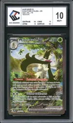 Auction visual on GCC