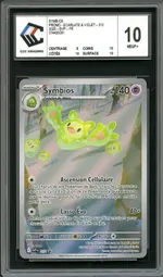 Auction visual on GCC