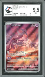 Auction visual on GCC