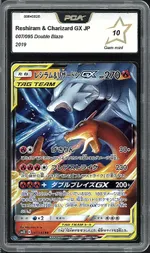 Auction visual on GCC