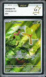 Auction visual on GCC