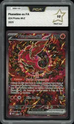 Auction visual on GCC