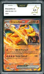 Auction visual on GCC