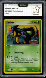 Auction visual on GCC