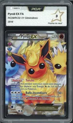 Auction visual on GCC
