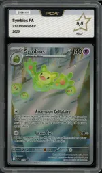 Auction visual on GCC