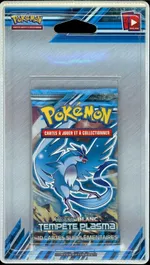 Auction visual on GCC