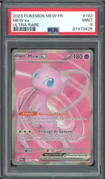 Auction visual on GCC