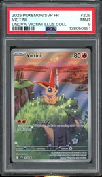 Auction visual on GCC