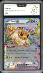 Auction visual on GCC