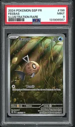 Auction visual on GCC