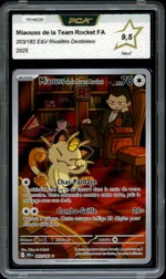 Auction visual on GCC