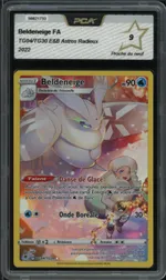 Auction visual on GCC