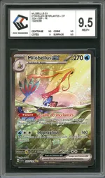 Auction visual on GCC