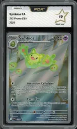 Auction visual on GCC
