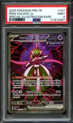 Auction visual on GCC