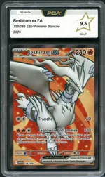 Auction visual on GCC
