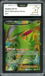 Auction visual on GCC