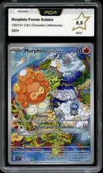 Auction visual on GCC