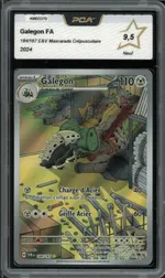 Auction visual on GCC