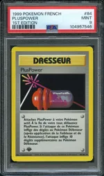 Auction visual on GCC