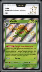 Auction visual on GCC