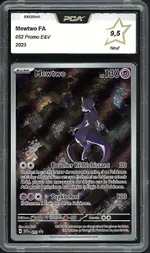 Auction visual on GCC