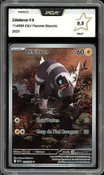 Collectible card marketplace image