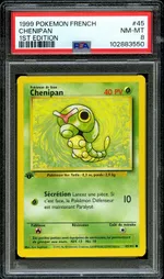 Auction visual on GCC